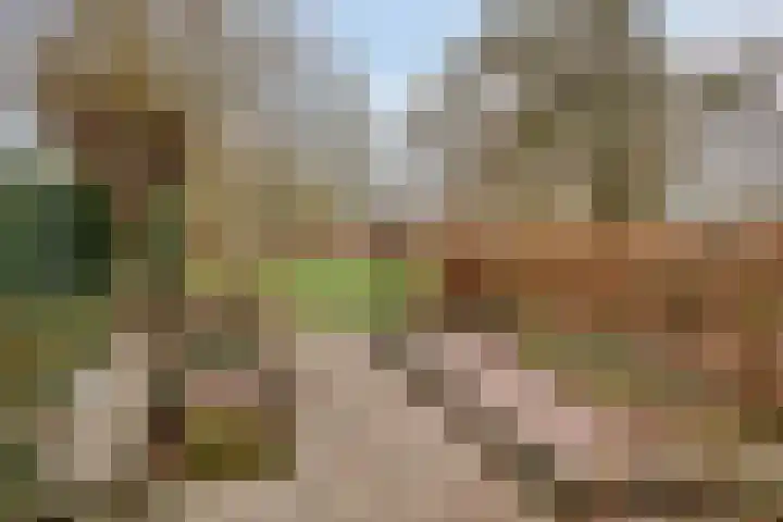 Veldkant 6 Beuningen Gld thumbnail 36