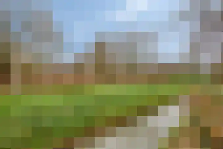 Veldkant 6 Beuningen Gld thumbnail 37