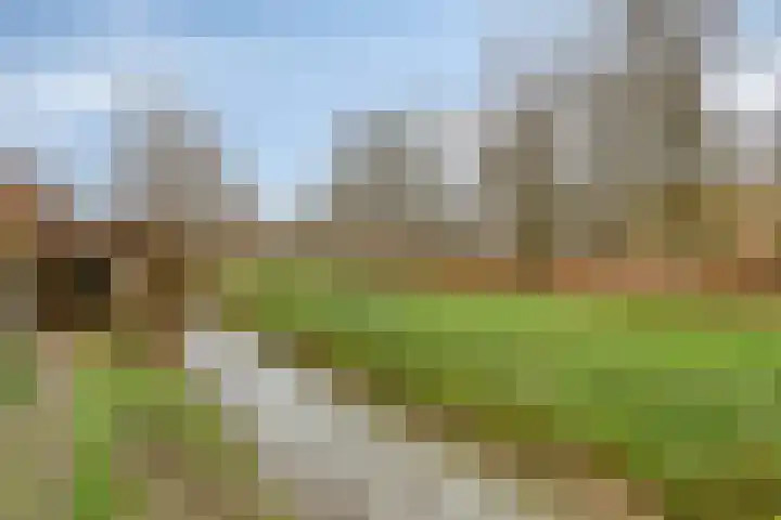 Veldkant 6 Beuningen Gld thumbnail 38