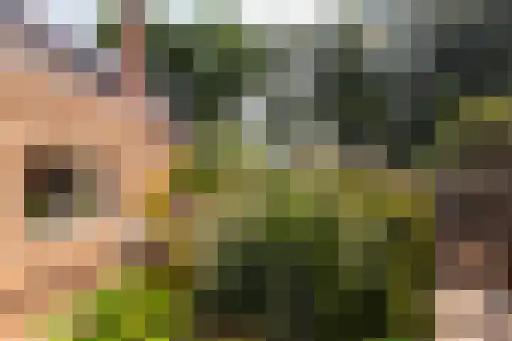 Veldkantweg 10 Eerbeek thumbnail 25