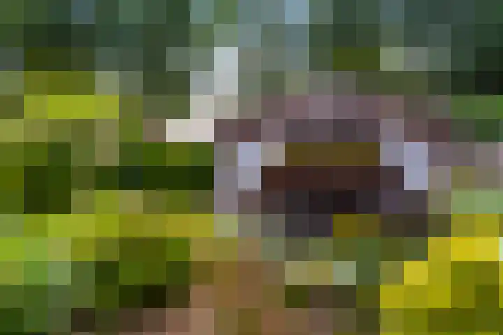Veldkantweg 10 Eerbeek thumbnail 27