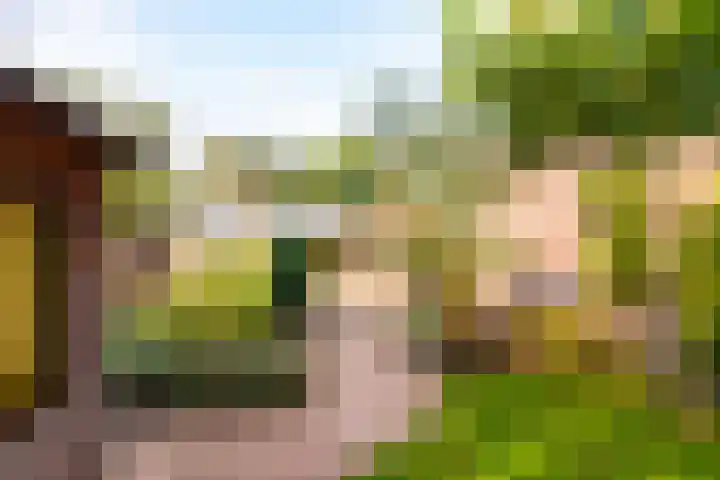 Veldkantweg 10 Eerbeek thumbnail 29