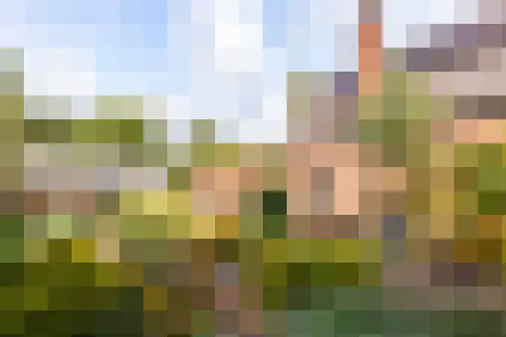 Veldkantweg 10 Eerbeek thumbnail 31
