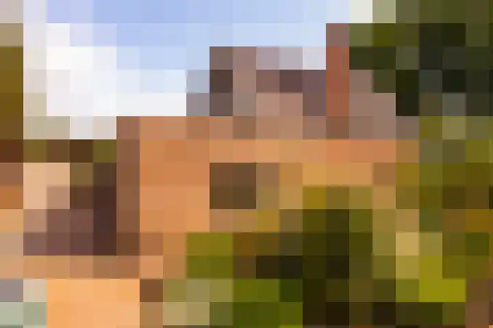 Veldkantweg 10 Eerbeek thumbnail 34