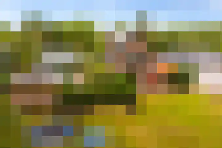 Veldkantweg 10 Eerbeek thumbnail 51