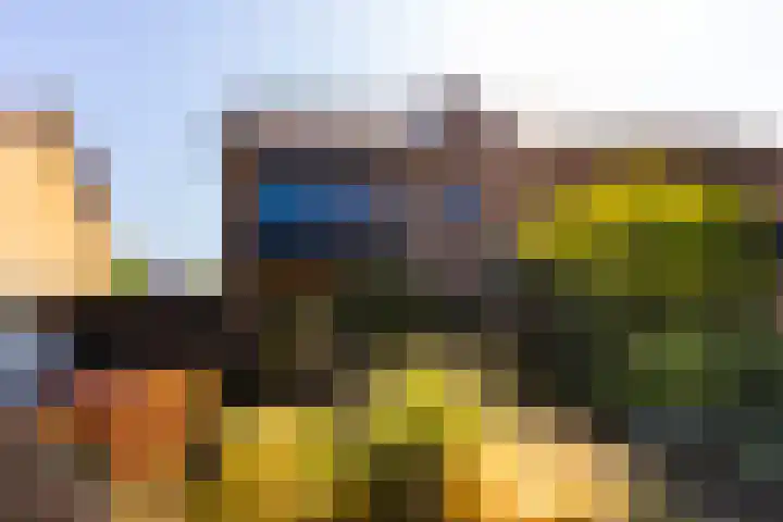 Veldkantweg 19 Eerbeek thumbnail 10