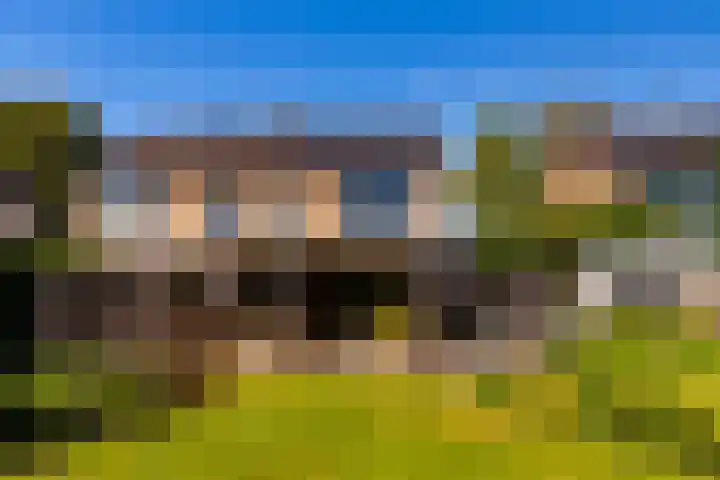 Veldkantweg 19 Eerbeek thumbnail 34