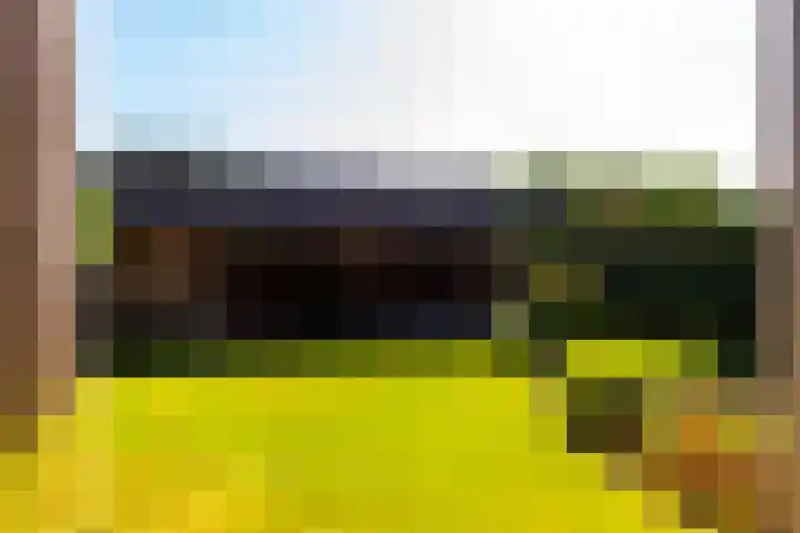 Veldkantweg 19 Eerbeek thumbnail 38