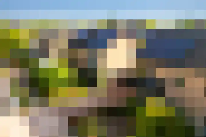 Veldkantweg 19 Eerbeek thumbnail 7