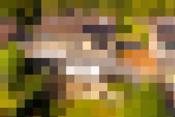 Veldkantweg 19 Eerbeek thumbnail 8