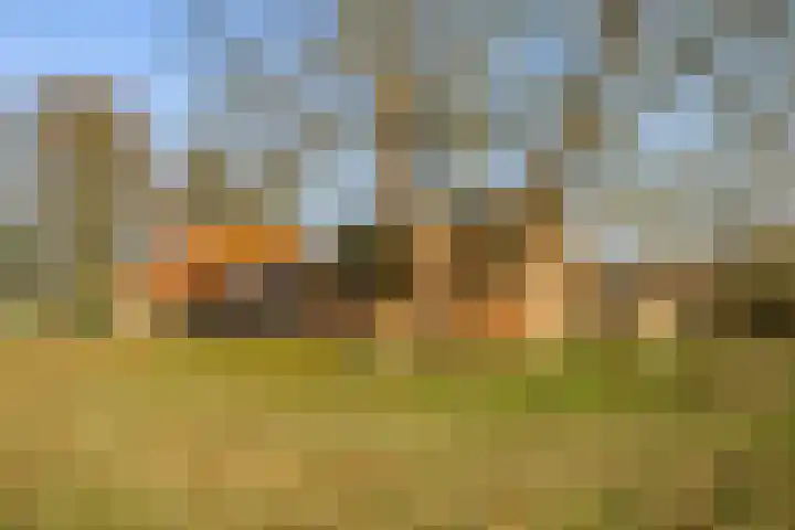 Veldkeizerdijk 4 Gelselaar thumbnail 10
