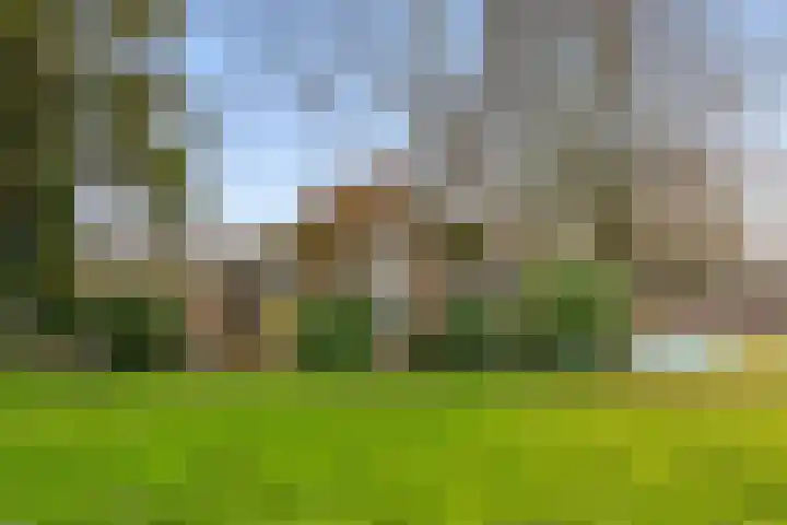 Veldkeizerdijk 4 Gelselaar thumbnail 11