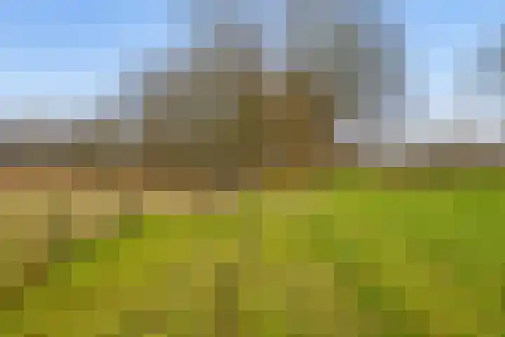 Veldkeizerdijk 4 Gelselaar thumbnail 12
