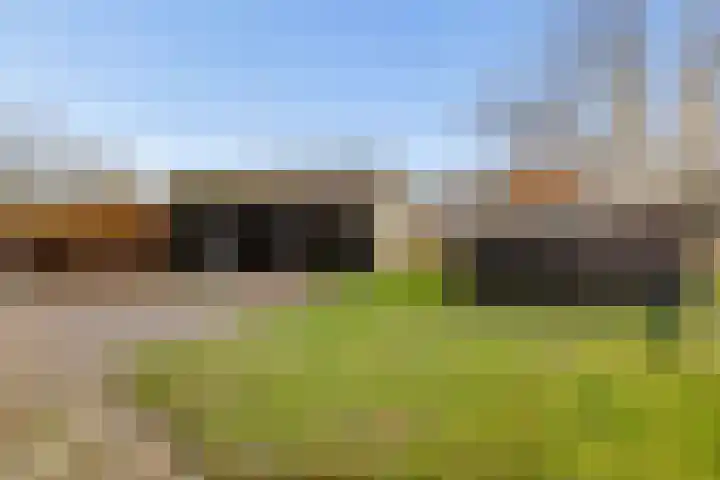 Veldkeizerdijk 4 Gelselaar thumbnail 14