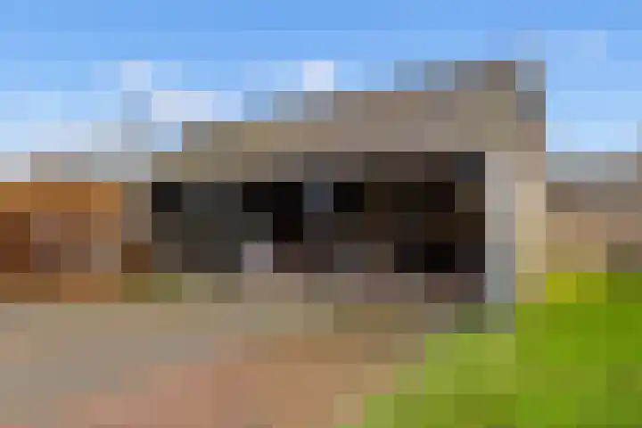 Veldkeizerdijk 4 Gelselaar thumbnail 15