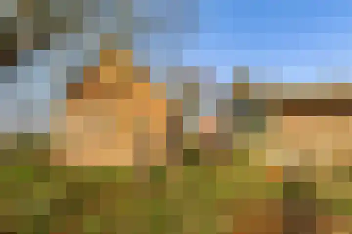 Veldkeizerdijk 4 Gelselaar thumbnail 17