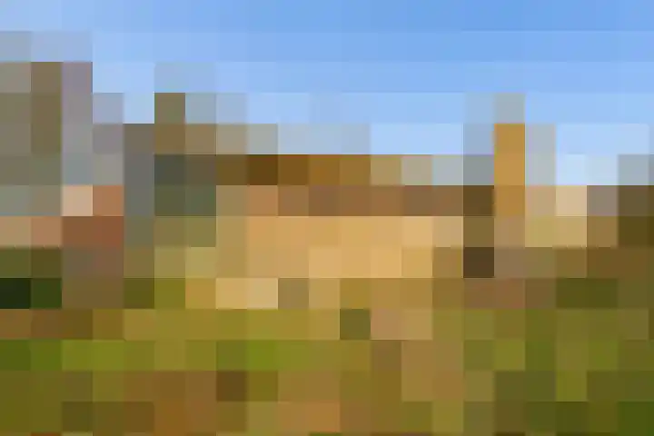 Veldkeizerdijk 4 Gelselaar thumbnail 18