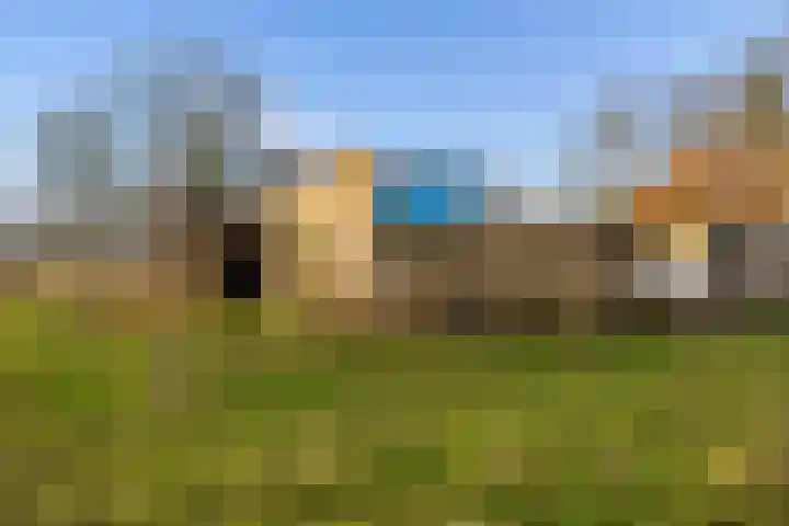 Veldkeizerdijk 4 Gelselaar thumbnail 19