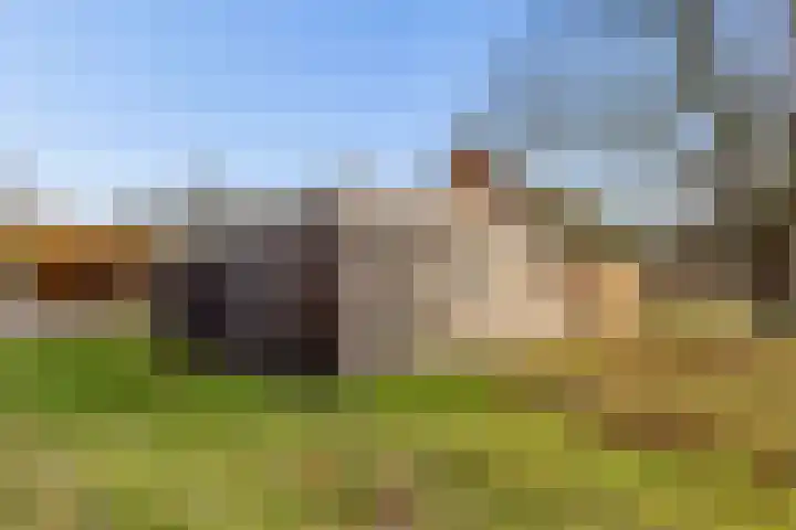 Veldkeizerdijk 4 Gelselaar thumbnail 20