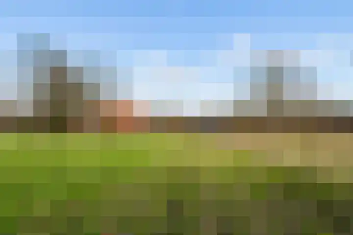 Veldkeizerdijk 4 Gelselaar thumbnail 21