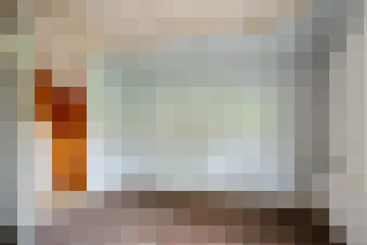 Veldkeizerdijk 4 Gelselaar thumbnail 33
