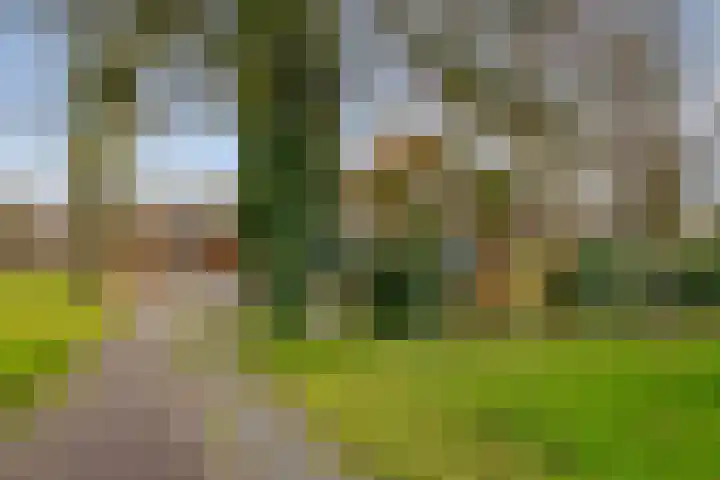 Veldkeizerdijk 4 Gelselaar thumbnail 4