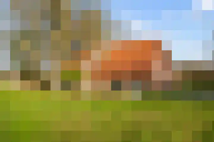 Veldkeizerdijk 4 Gelselaar thumbnail 5