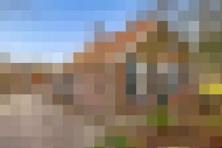 Veldkeizerdijk 4 Gelselaar thumbnail 6
