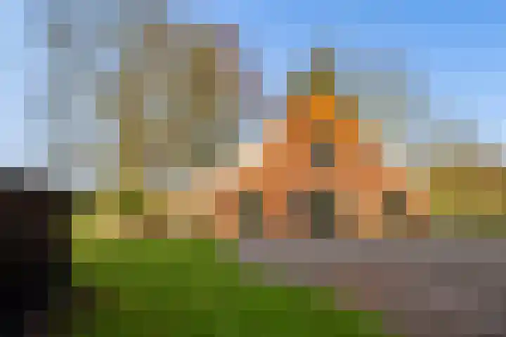 Veldkeizerdijk 4 Gelselaar thumbnail 7