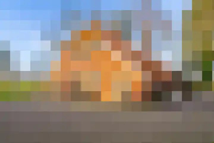 Veldkeizerdijk 4 Gelselaar thumbnail 8