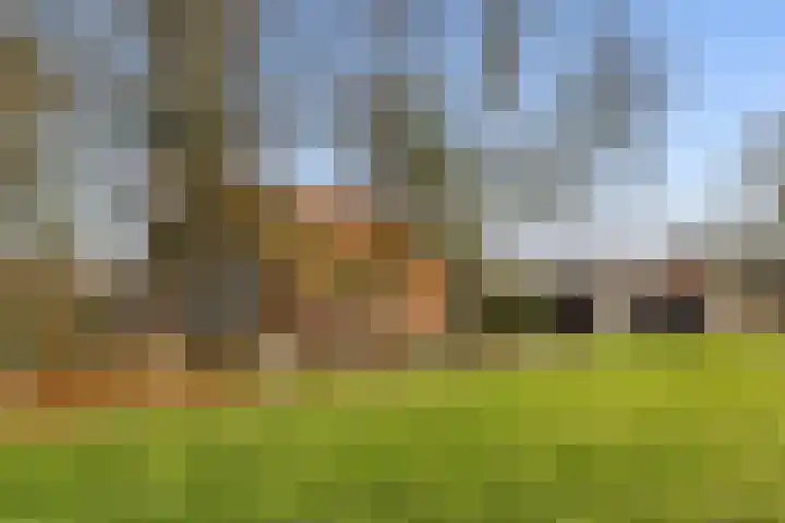 Veldkeizerdijk 4 Gelselaar thumbnail 9