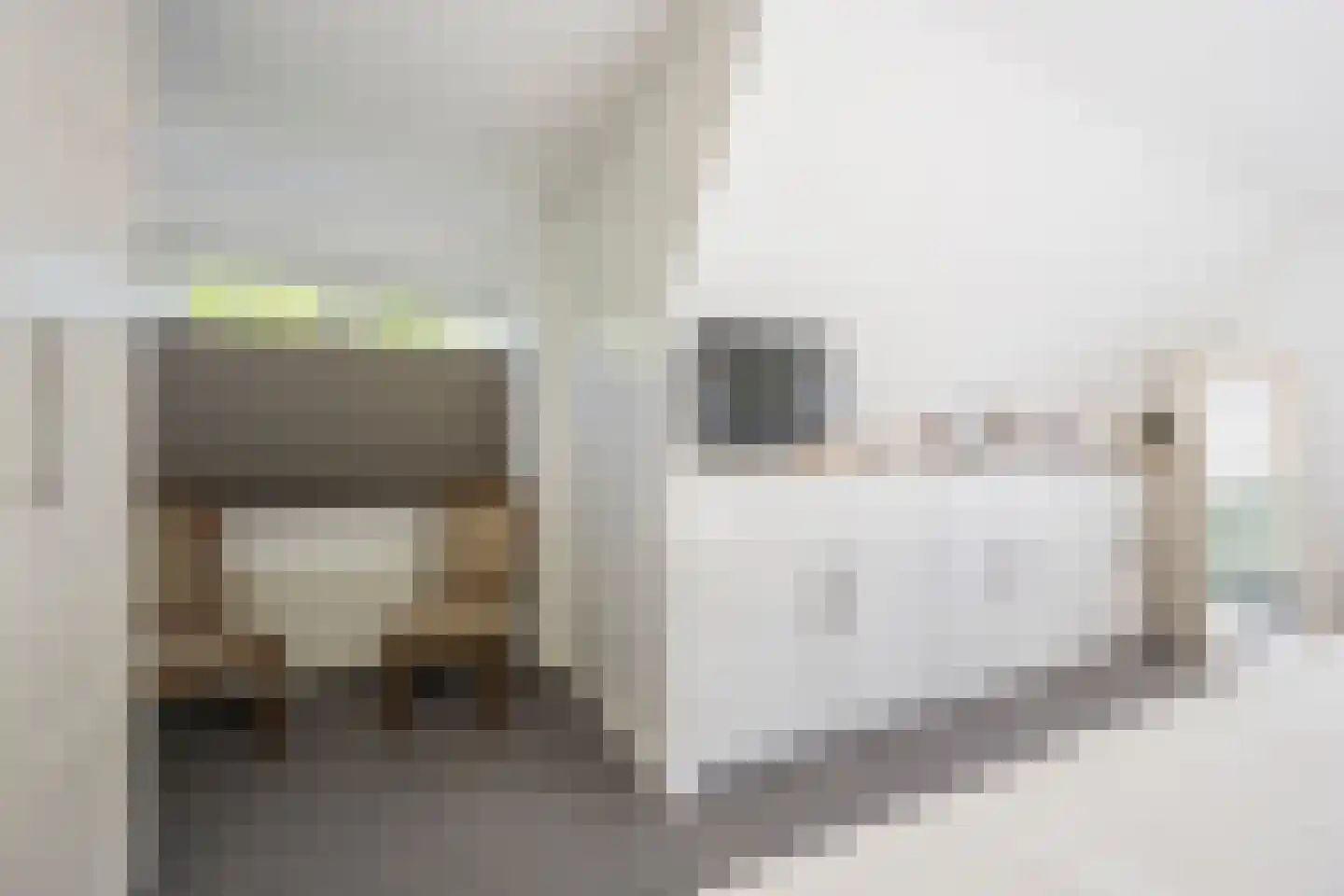 Veldkers 16 Nijkerk thumbnail 21