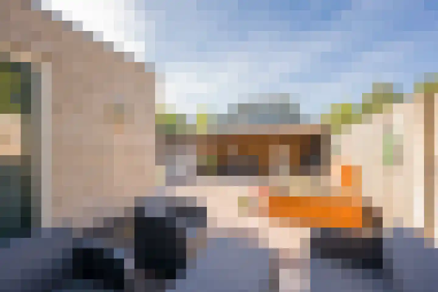 Veldkers 16 Nijkerk thumbnail 35