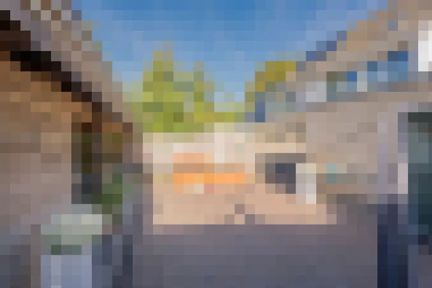 Veldkers 16 Nijkerk thumbnail 39