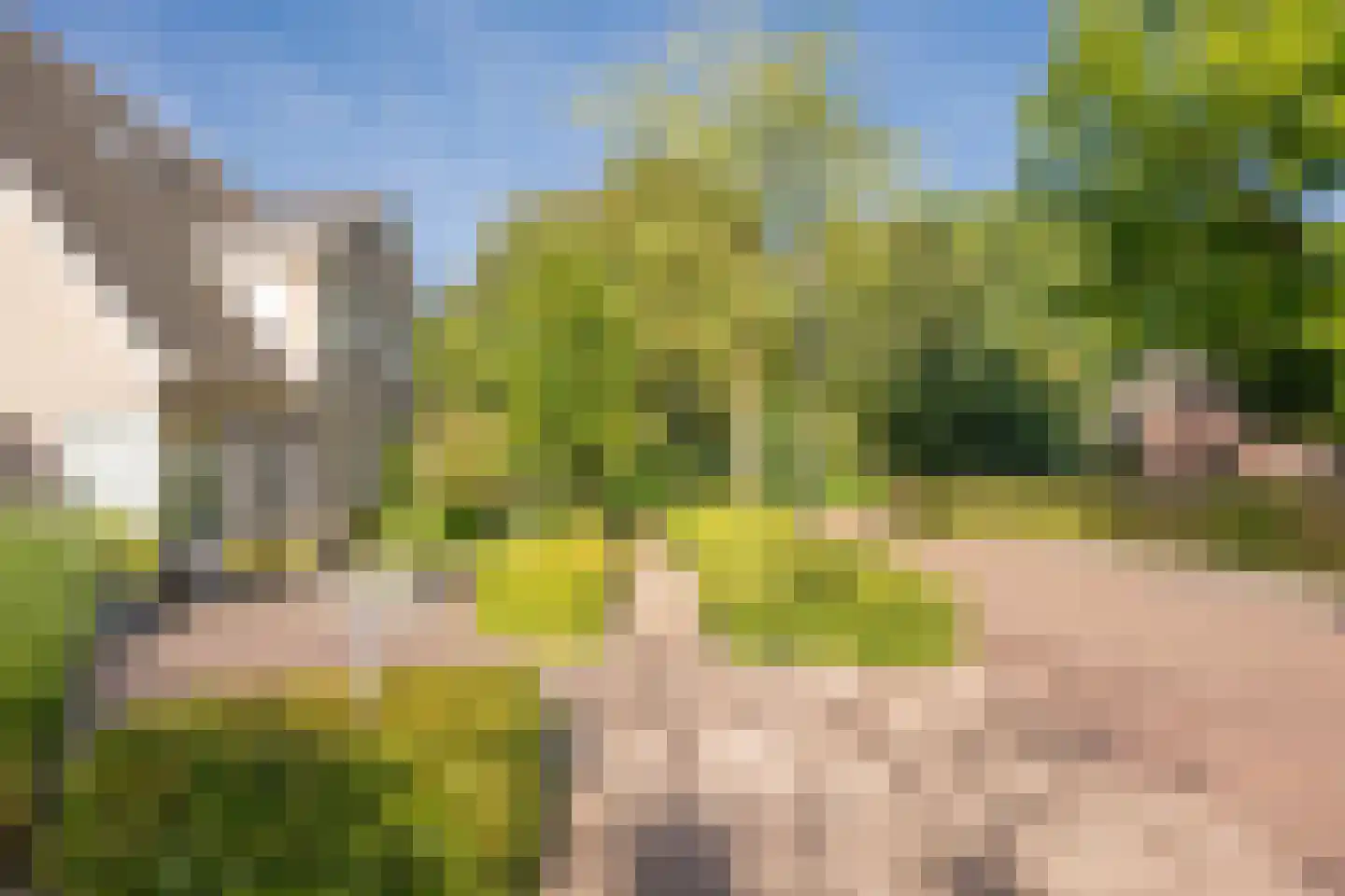 Veldkers 16 Nijkerk thumbnail 43