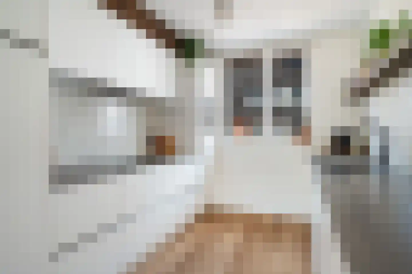 Veldkerserf 22 Pijnacker thumbnail 10