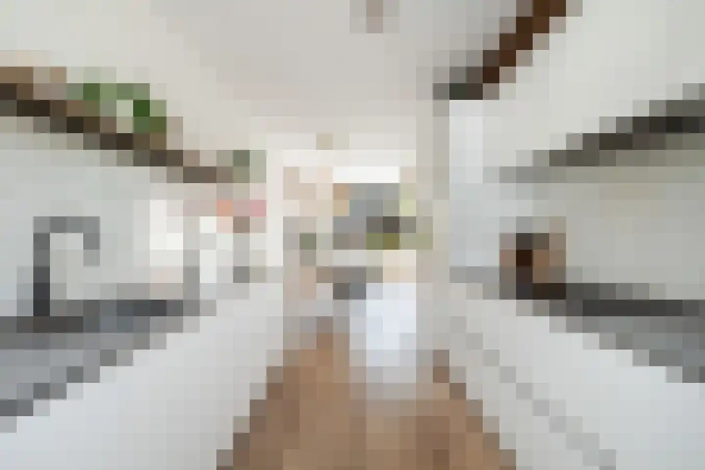 Veldkerserf 22 Pijnacker thumbnail 11