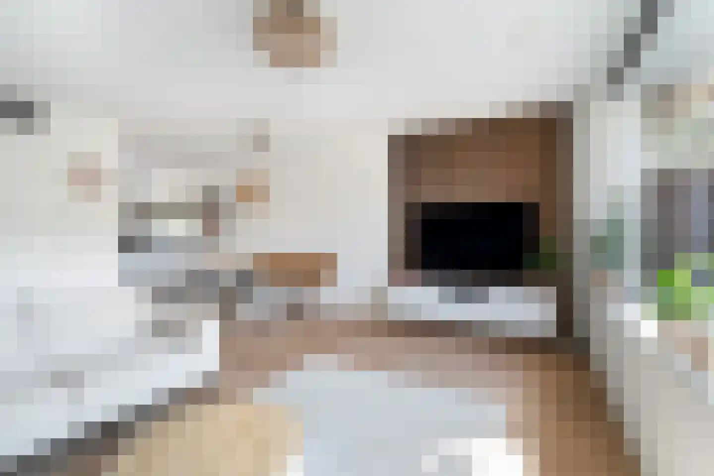 Veldkerserf 22 Pijnacker thumbnail 8