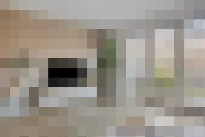 Veldkersvliet 23 Utrecht thumbnail 12