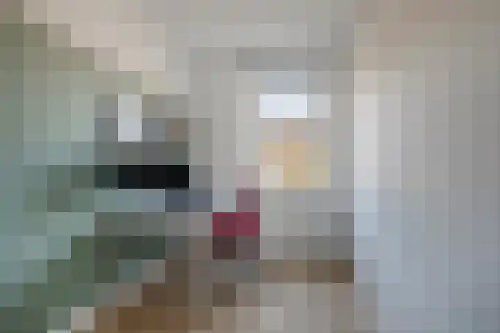 Veldkersvliet 23 Utrecht thumbnail 25