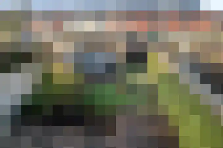 Veldkersvliet 23 Utrecht thumbnail 28