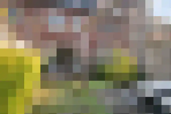 Veldkersvliet 23 Utrecht thumbnail 37