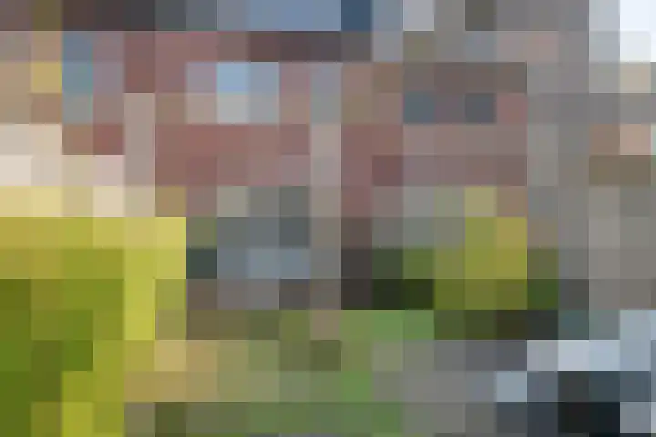 Veldkersvliet 23 Utrecht thumbnail 38