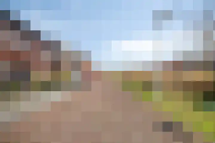 Veldkersvliet 23 Utrecht thumbnail 7