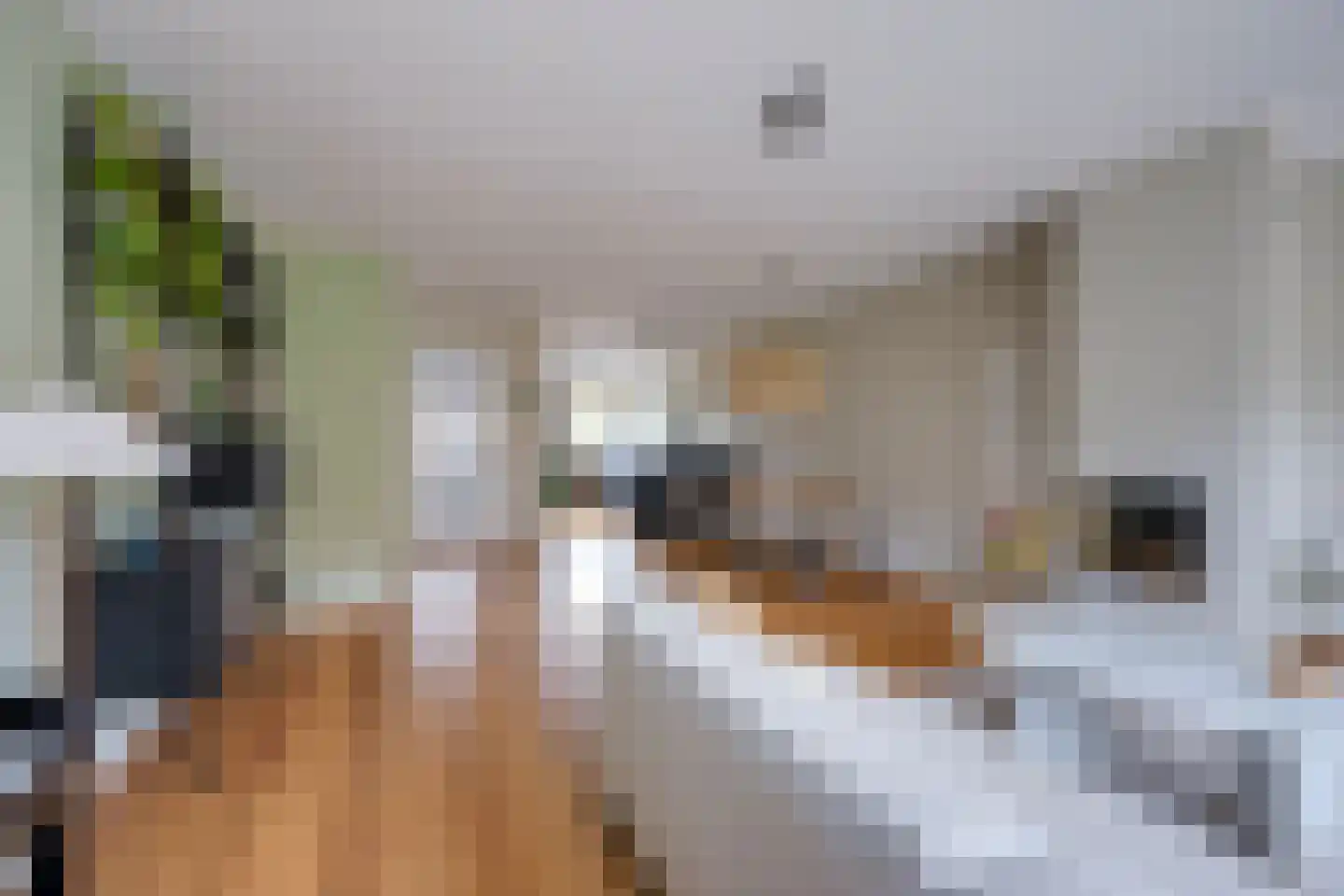 Veldkersvliet 33 Utrecht thumbnail 16