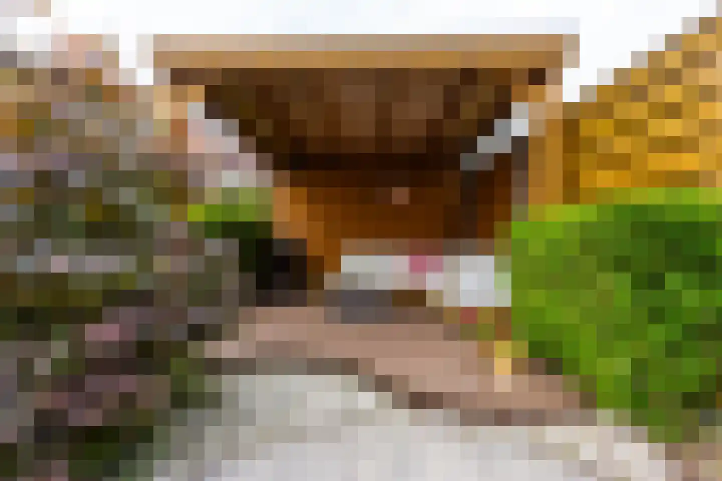 Veldkersvliet 33 Utrecht thumbnail 30
