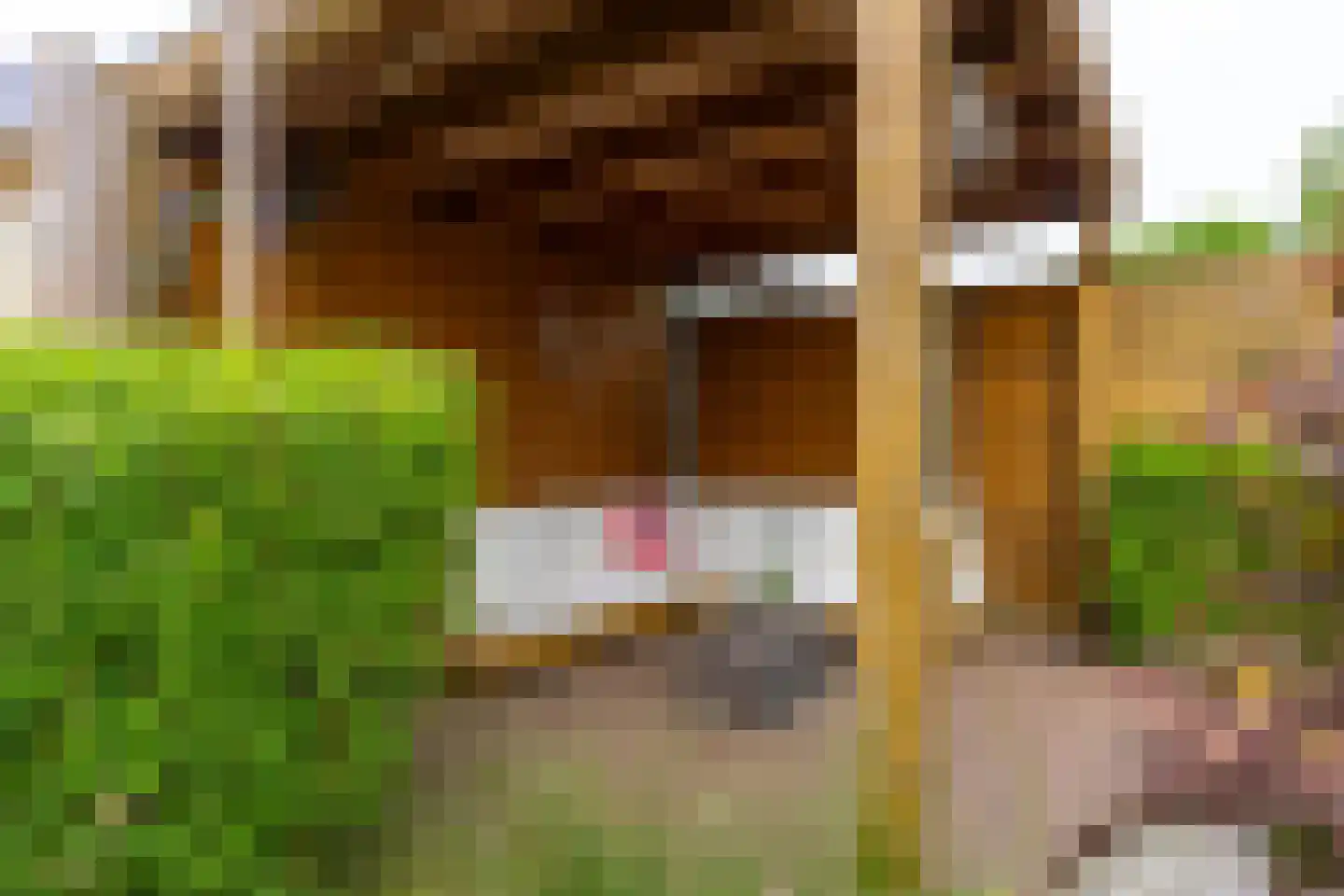 Veldkersvliet 33 Utrecht thumbnail 31