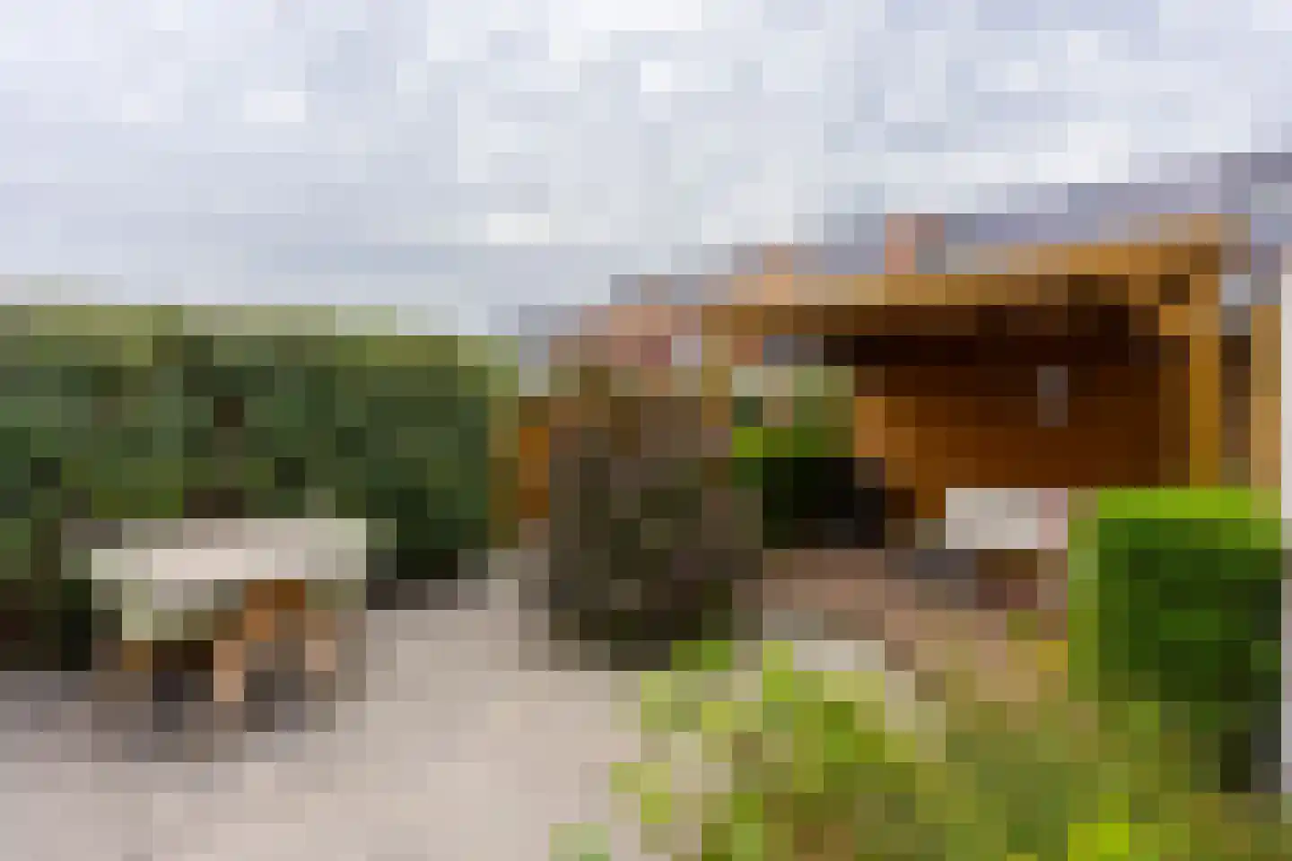 Veldkersvliet 33 Utrecht thumbnail 36