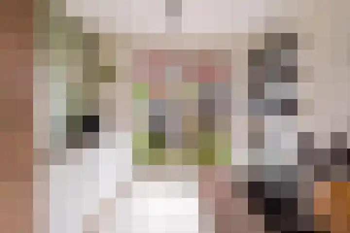 Veldkersvliet 7 Utrecht thumbnail 19