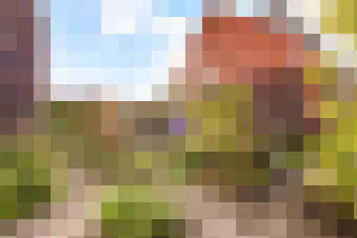 Veldkersvliet 7 Utrecht thumbnail 24
